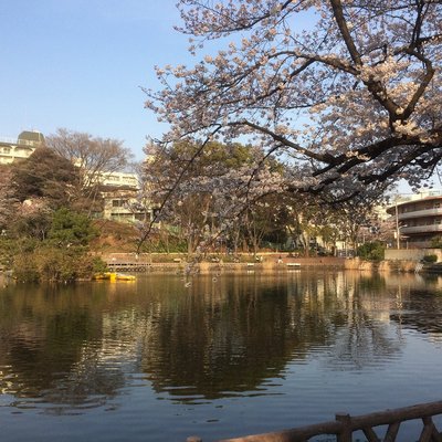 🏞️ 미츠기 공원 (見次公園) 이미지 2